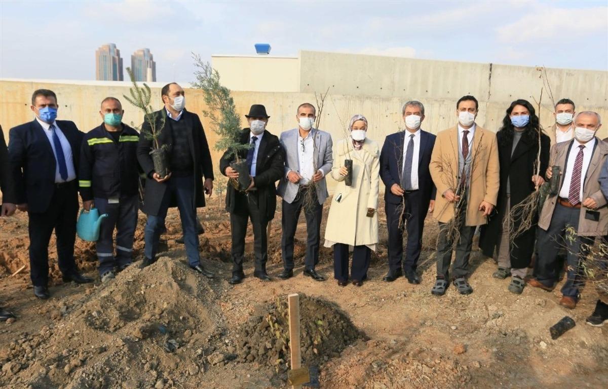 ASKİ 2 bin fidanı toprakla buluşturuyor