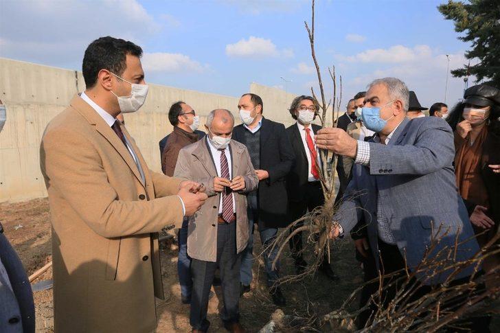 ASKİ 2 bin fidanı toprakla buluşturuyor G2