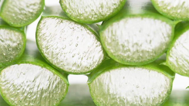 Aman dikkat! Yarardan çok zarar veriyor çiğ aloe vera suyu...