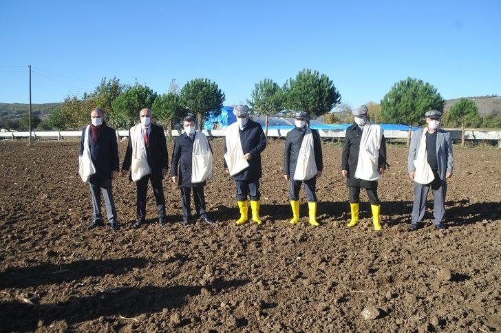 Bafra’da yerli atalık tohum toprakla buluştu G1