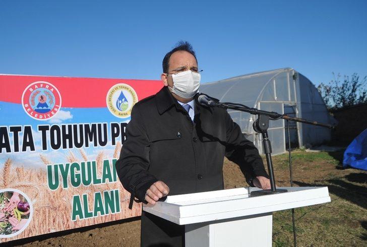 Bafra’da yerli atalık tohum toprakla buluştu G4