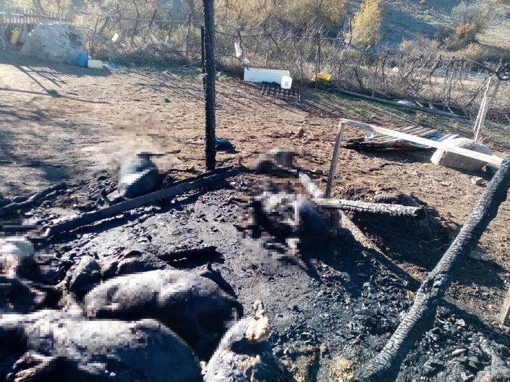 Ahır yangınında 70 küçükbaş hayvan telef oldu G3