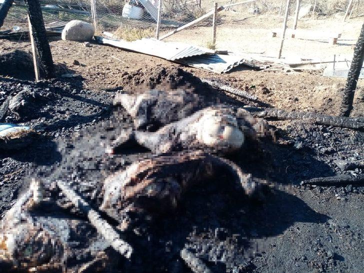 Ahır yangınında 70 küçükbaş hayvan telef oldu G4