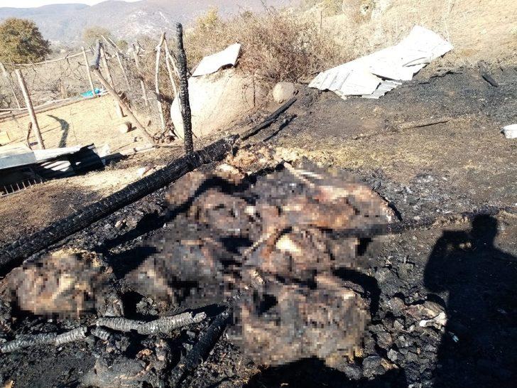 Ahır yangınında 70 küçükbaş hayvan telef oldu G5