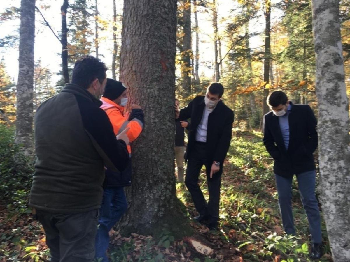 Kaymakam Erdem ve cumhuriyet savcıları ormanda damga ve &uuml;retim faaliyetlerini inceledi