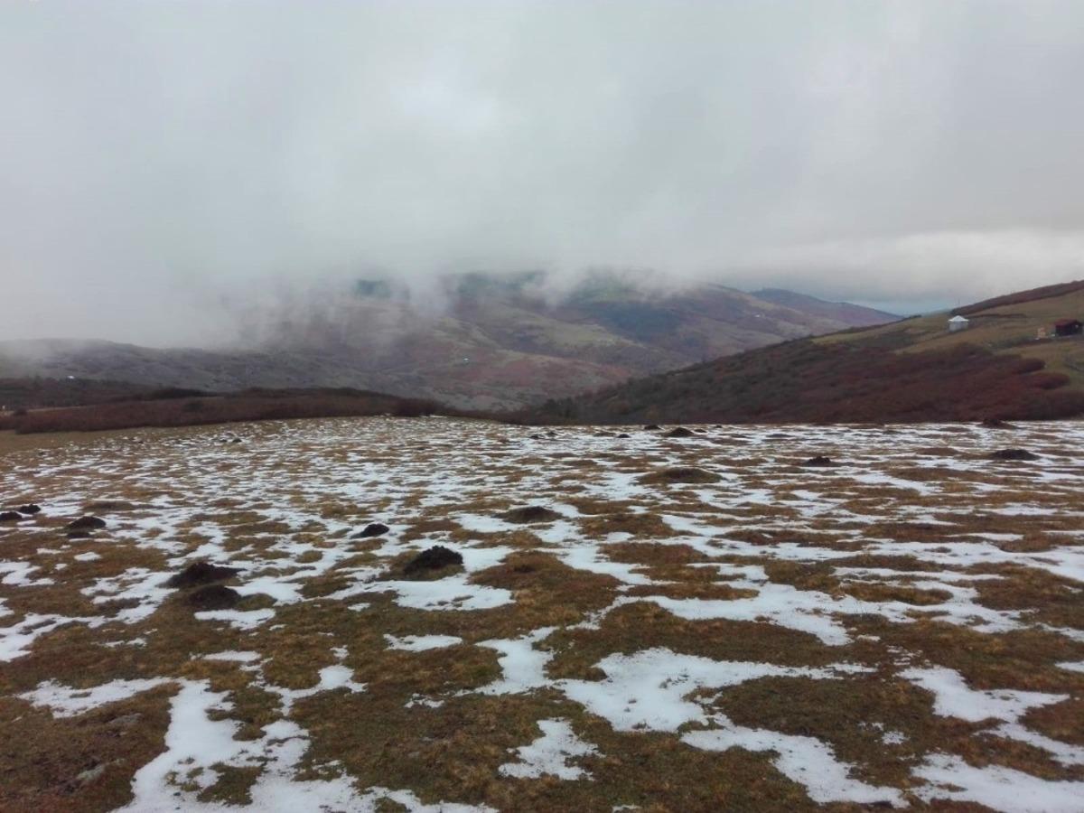 Ordu&rsquo;da yaylalar renklendi