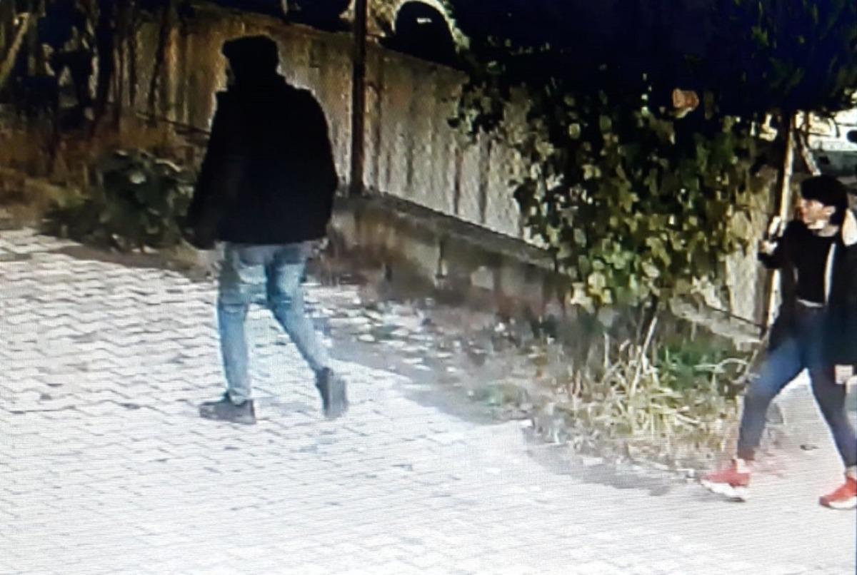 Fındık hırsızlarını g&uuml;venlik kamerası yakalattı