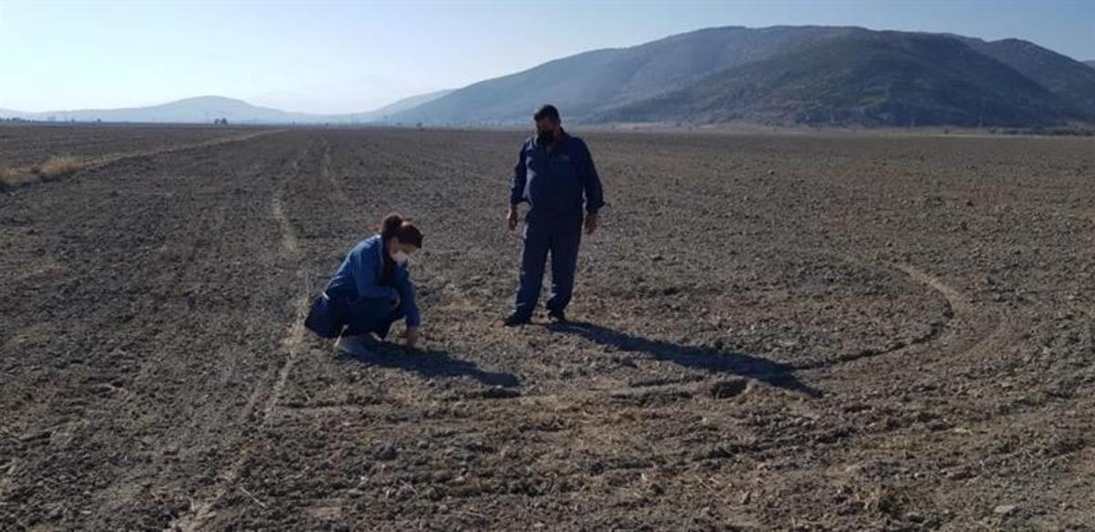 Isparta&rsquo;da yerli tohum denemeleri