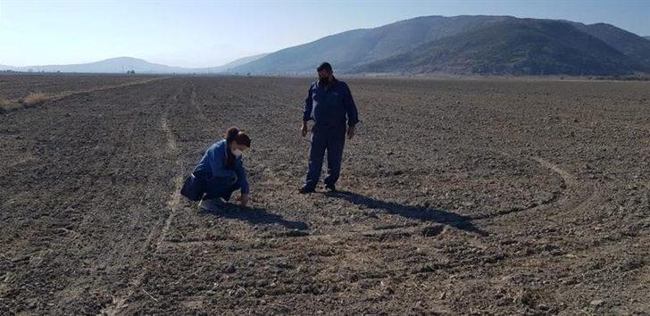 Isparta’da yerli tohum denemeleri G1