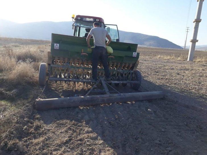 Isparta’da yerli tohum denemeleri G2