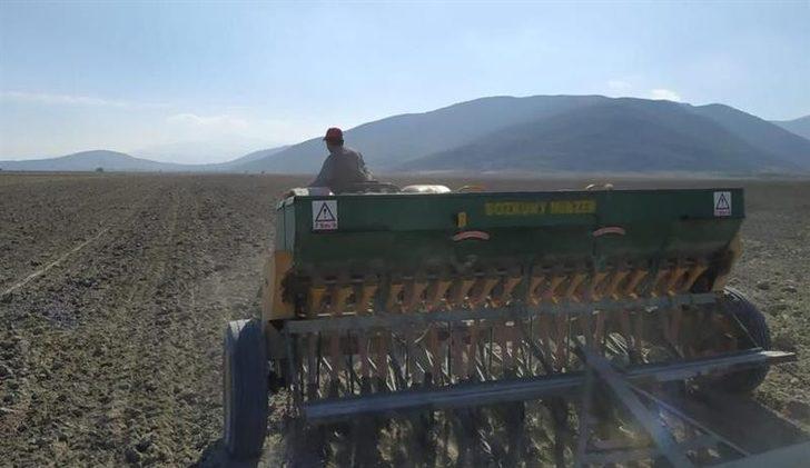 Isparta’da yerli tohum denemeleri G3