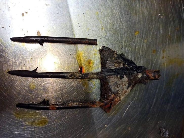 Koruma altındaki kaplumbağaya zıpkınlı vahşet G3