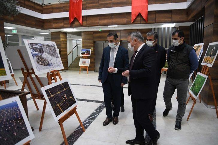 ‘11. Tarım ve İnsan Fotoğraf Sergisi’ İl Müdürlüğü Hizmet Binasında sergilenmeye başlandı G2