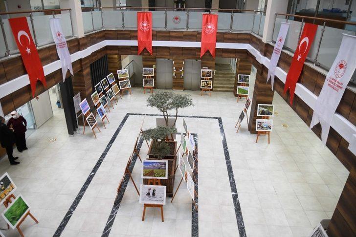 ‘11. Tarım ve İnsan Fotoğraf Sergisi’ İl Müdürlüğü Hizmet Binasında sergilenmeye başlandı G4