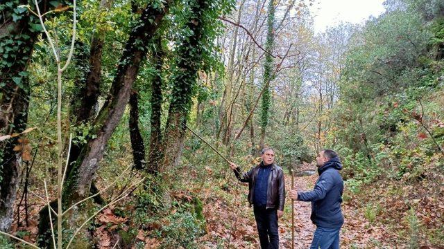 Başkan Erdoğan, trekking yolunu inceledi