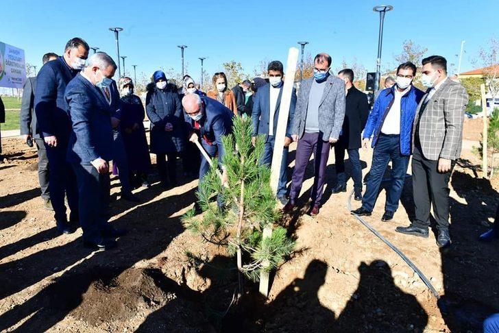 Beylerderesi’ne Öğretmenler Ormanı kuruldu G3