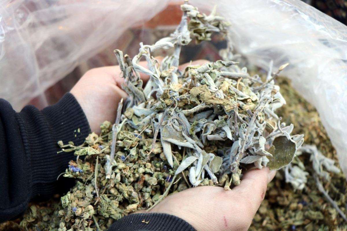 Uzmanlar s&ouml;yledi, ada&ccedil;ayı ve ebeg&uuml;meci satışı tavan yaptı