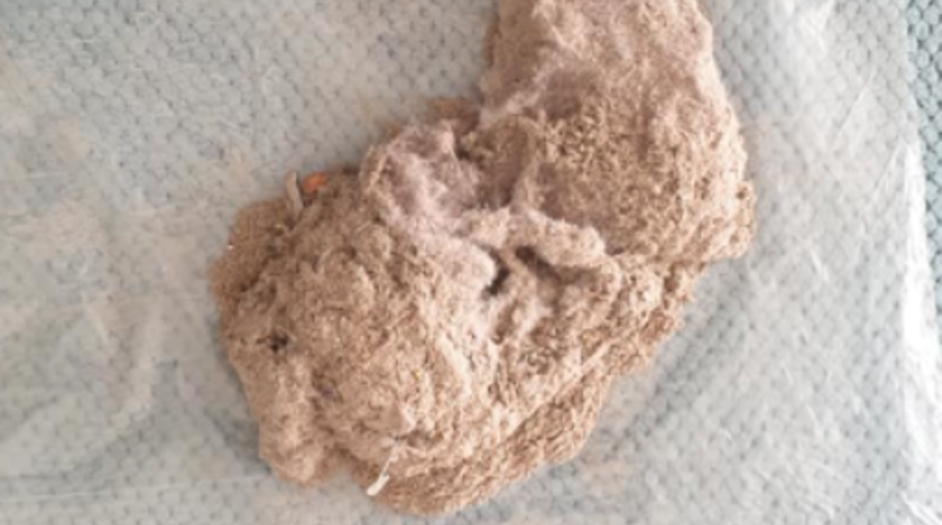 Sosyal medyayı salladı! Elektrik s&uuml;p&uuml;rgesinin i&ccedil;inden &ccedil;ıkanlar...