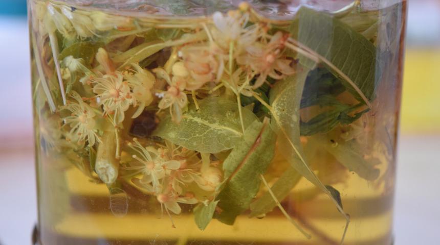 Bitkileri karıştırıp i&ccedil;enler dikkat! Ihlamur, zencefil ve bal...