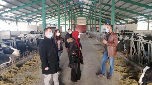 Kaymakam Kurt’un besihane ve süt üretim tesisini ziyareti