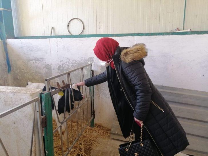 Kaymakam Kurt’un besihane ve süt üretim tesisini ziyareti G2