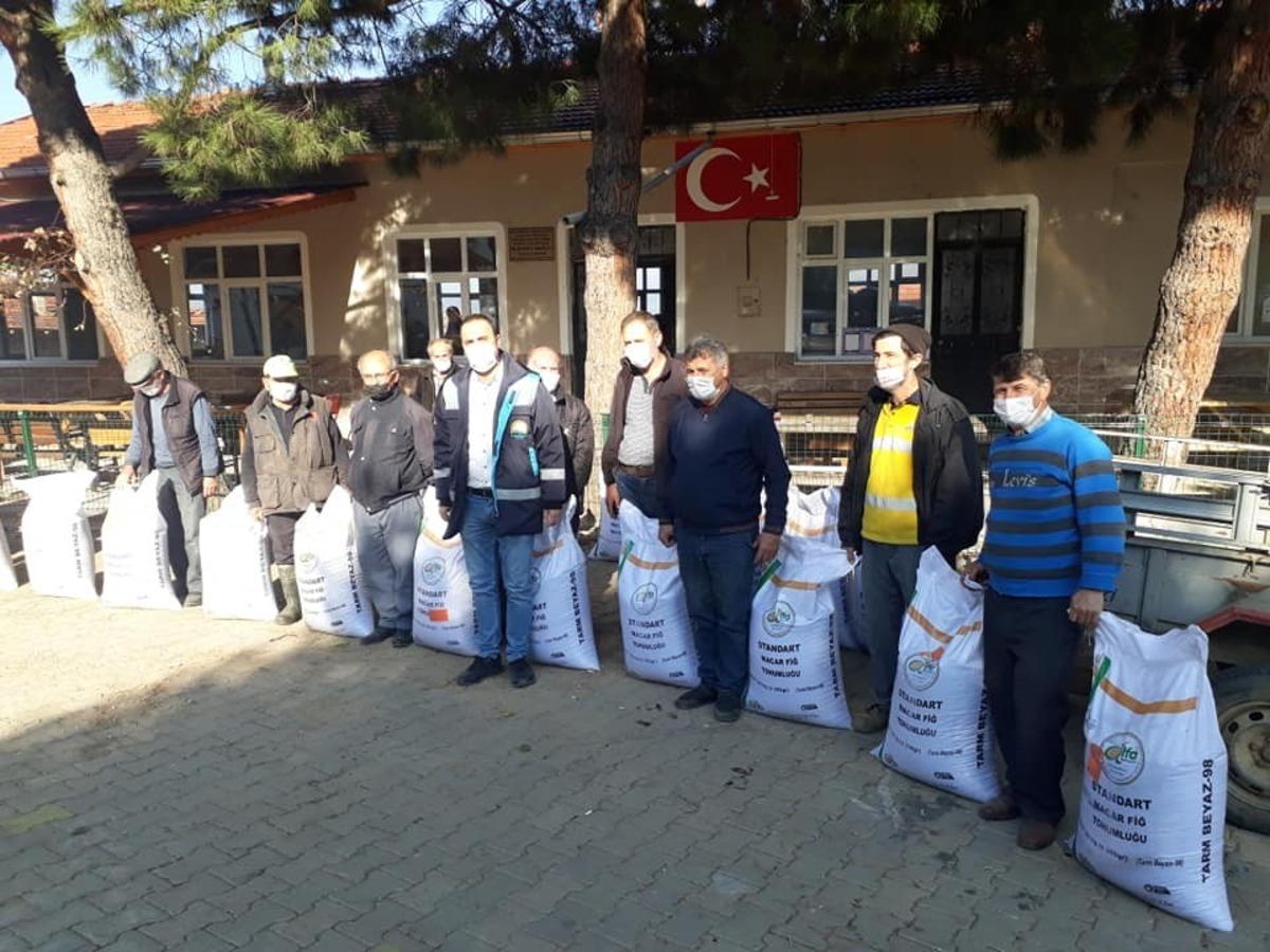&Ccedil;ift&ccedil;ilere &uuml;cretsiz Macar fiği tohumu dağıtıldı