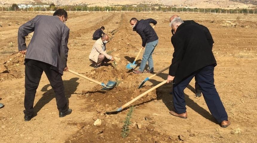 Baskil MYO kamp&uuml;s&uuml;ne 2 bin 160 fidan dikildi