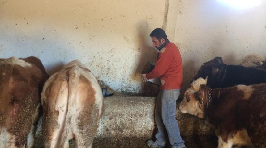 &Ccedil;ift&ccedil;iler girdi maliyetlerinin d&uuml;şmesini bekliyor