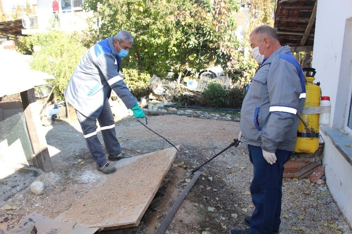 İl&ccedil;elerde sinekle m&uuml;cadele s&uuml;r&uuml;yor