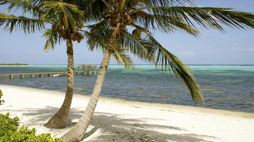 Cayman Adaları
