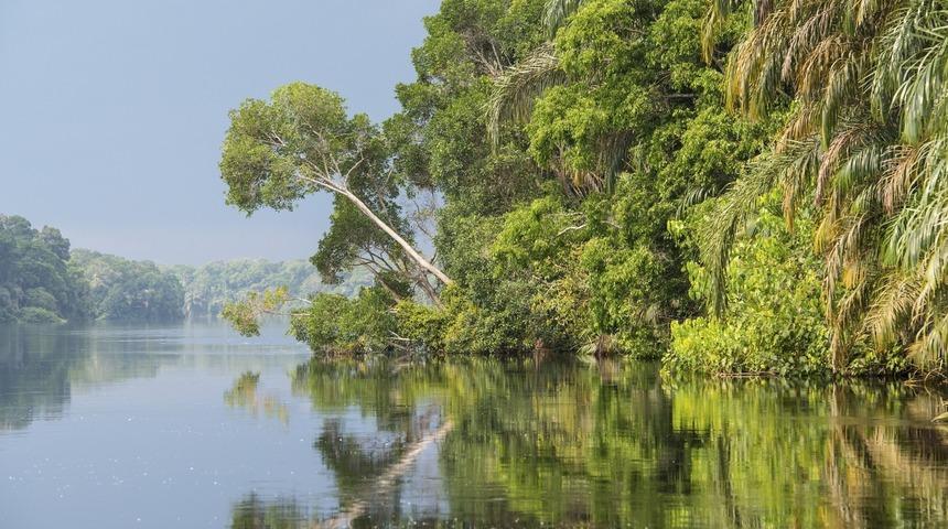 Demokratik Kongo Cumhuriyeti