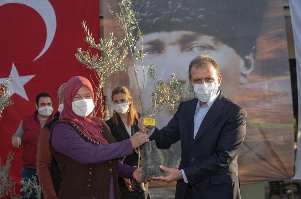 Mersin B&uuml;y&uuml;kşehir Belediyesi, &uuml;reticiye 60 bin zeytin fidanı dağıtacak