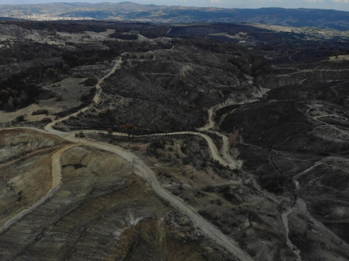 Manisa&rsquo;da yangın yaraları sarılıyor