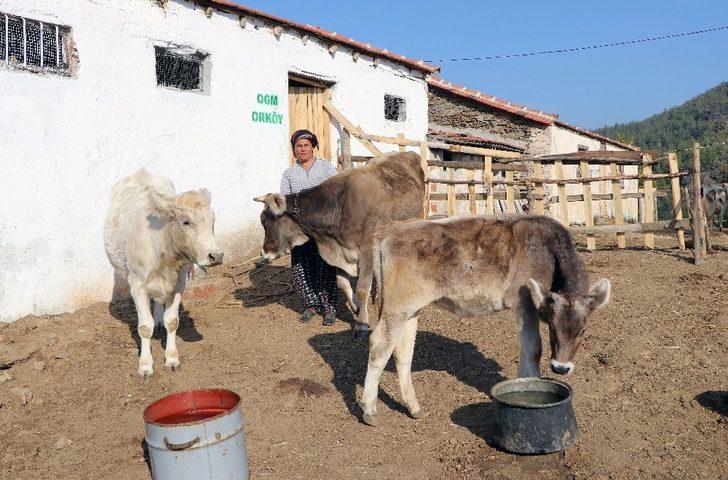 ORKÖY’den Aydın ve Muğla köylüsüne 4,5 milyon TL destek G1