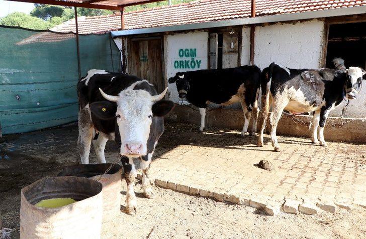 ORKÖY’den Aydın ve Muğla köylüsüne 4,5 milyon TL destek G2