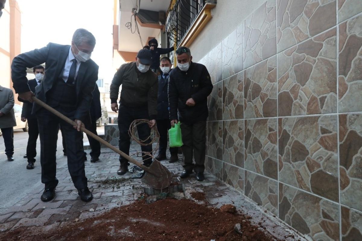 Şahinbey&rsquo;de 5 bin adet asma fidanı dikildi