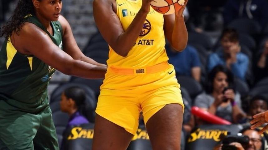 Bellona Kayseri Basketbol Brown&rsquo;u bekliyor