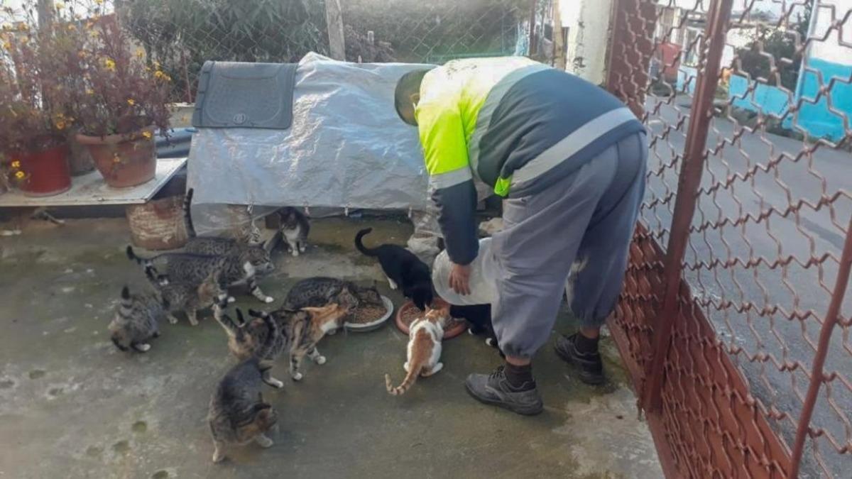 Canik&rsquo;te can dostlar emin ellerde