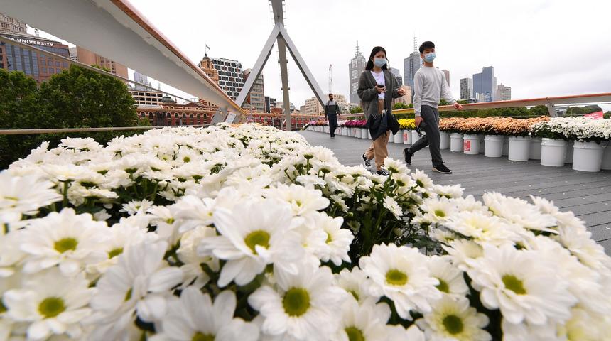 Avustralya'da Kovid-19'un merkezi Melbourne'de vaka kalmadı