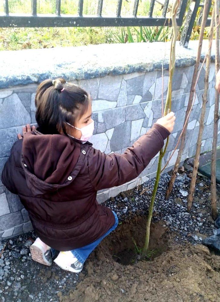 Şehit olan öğretmenler anısına fidan diktiler G3