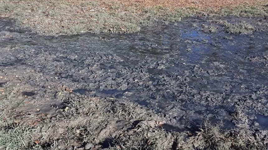 Kanalizasyon sızıntısı mahallelinin tepkisine neden oldu