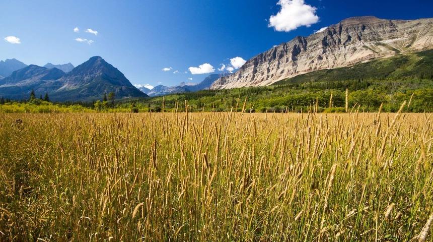Glacier Milli Parkı