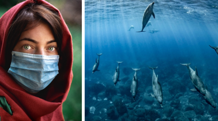 Bu fotoğraflar dünyanın hala güzel bir yer olduğunu hatırlatıyor