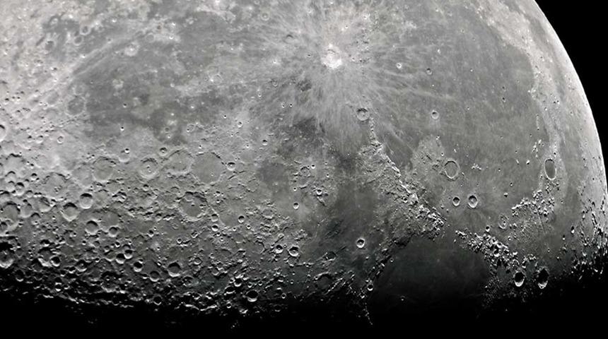 Bitkilerin Yaprakları &Ccedil;ekim G&uuml;c&uuml;yle Mi Hareket Ediyor?