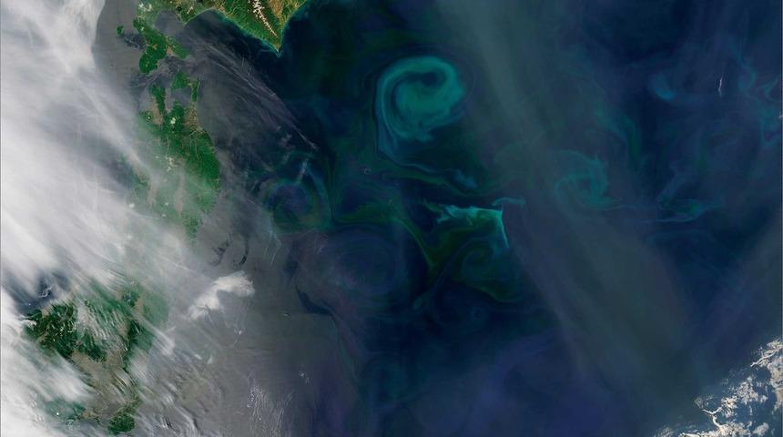 Okyanuslarda Oluşan 150 Kilometrelik &Ouml;l&uuml;m B&ouml;lgeleri