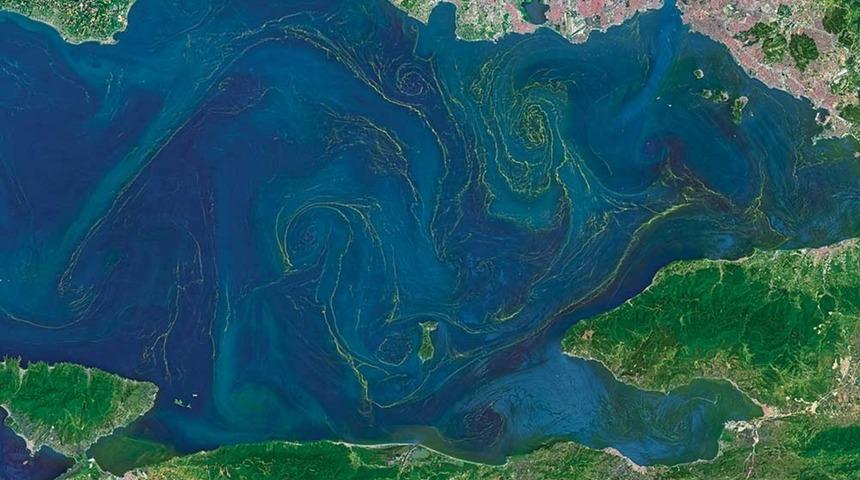 Marmara Denizi&rsquo;nde Zehirli Renkler Ortaya &Ccedil;ıktı