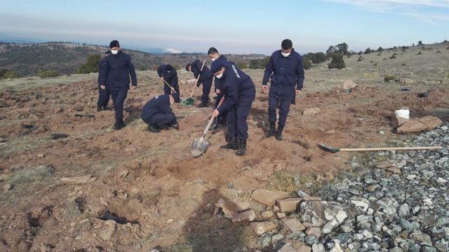 Askerler, Oyuktepe Şehitliği’nde fidan dikti