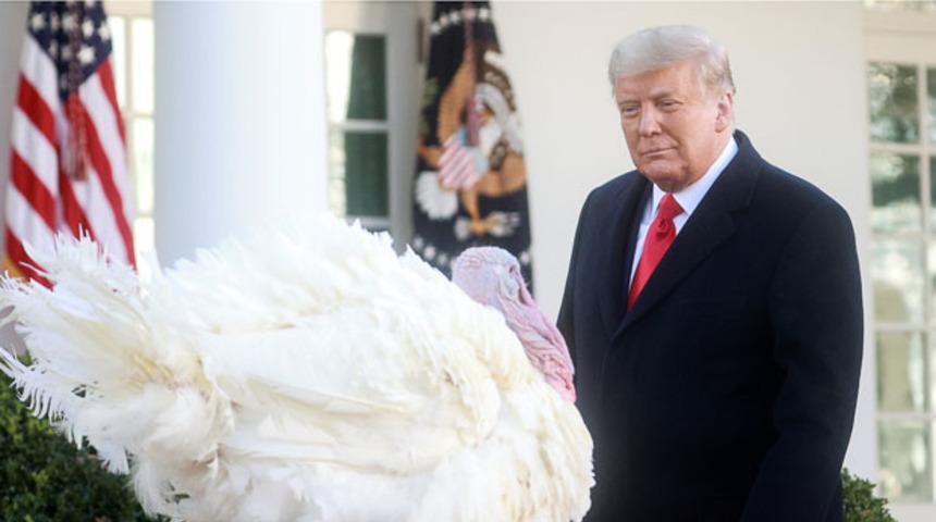 Trump, Şükran Günü için hazırlanmış iki hindiyi affetti