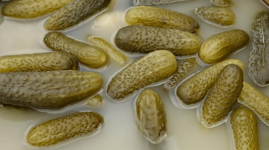 Kütür kütür, erimeyen bir turşu için bu 10 kurala dikkat