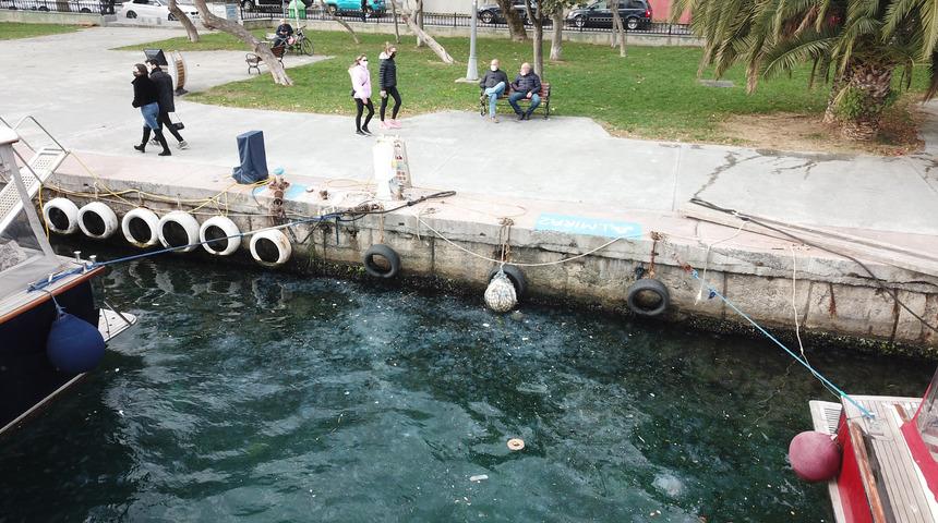 İstanbul Boğazı'nı denizanaları bastı
